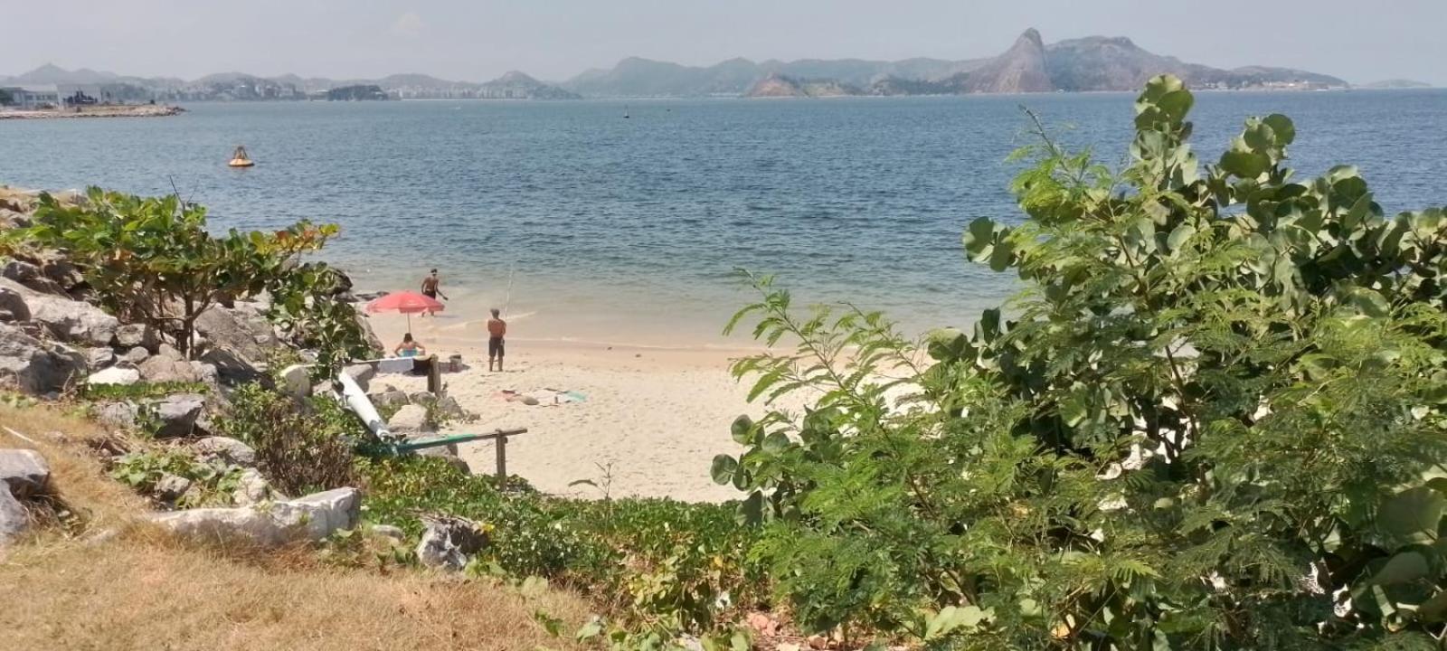 Ape Da Terezinha